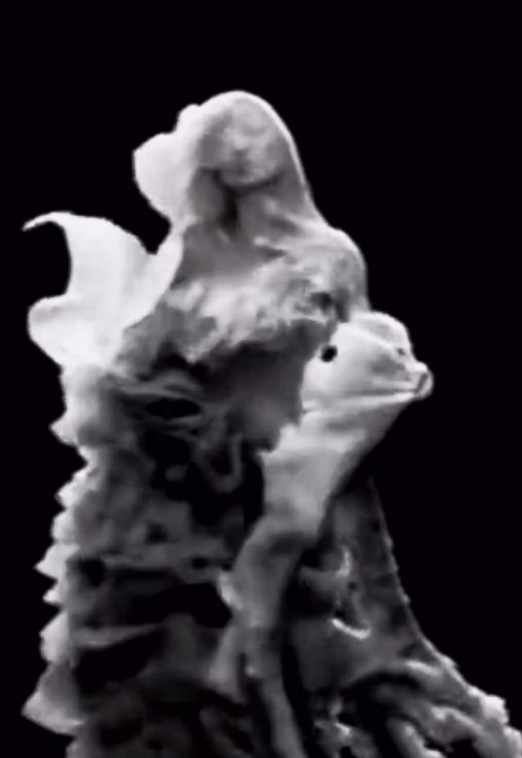 @𝛢𝑛𝑔𝑒𝑙𝐶𝑢𝑡𝑧🪽