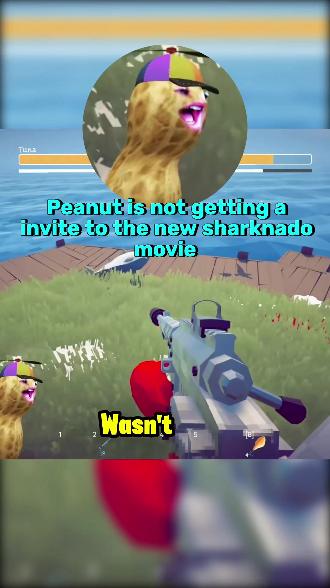 @PeanutClips_Daily