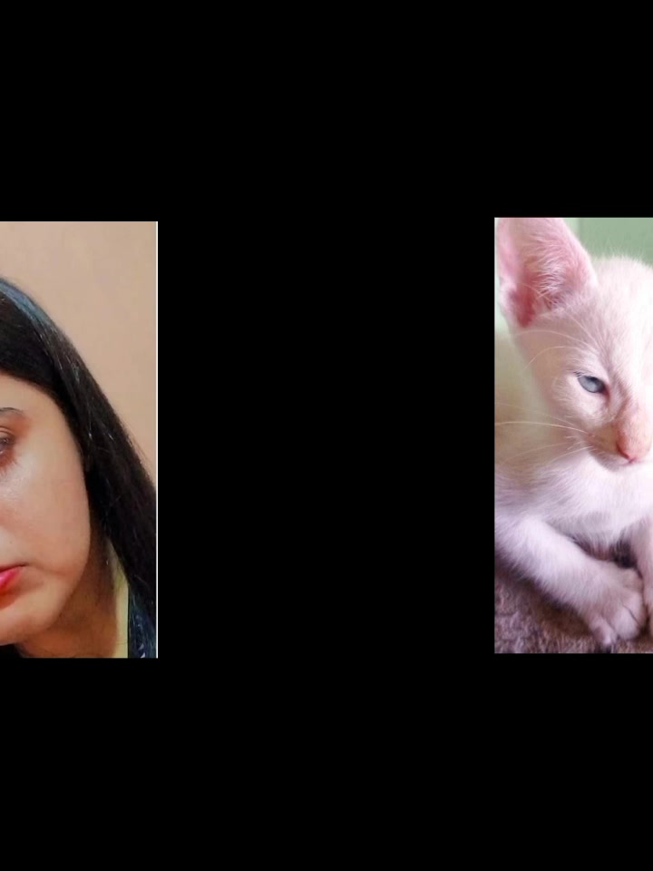 @mjnn