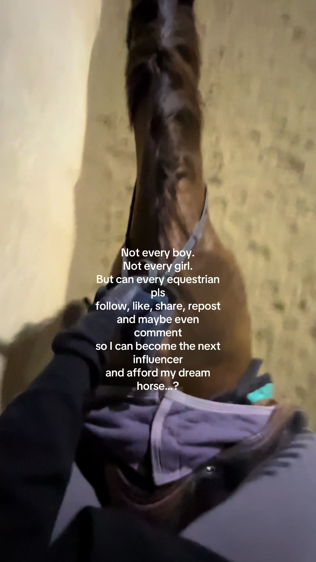 @Candace•eq-1💚🐴💫
