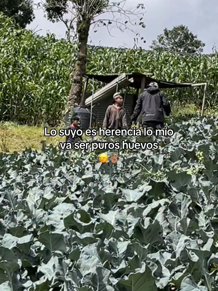 @Henry 🫡🤠
