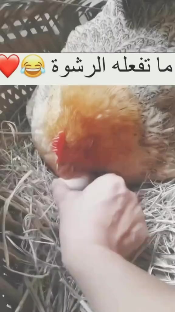 @viral