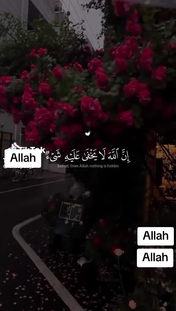 @❄️🪐🌌Syeda Mujahid🌟