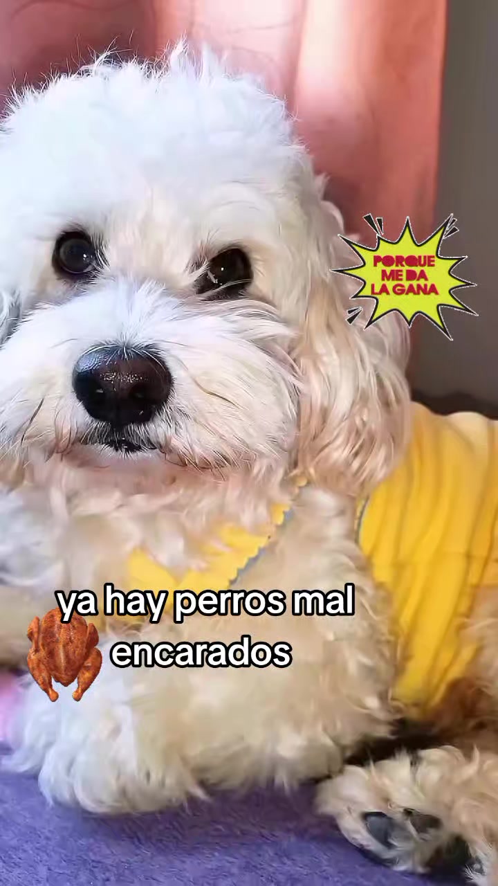 @Mariela Jiménez