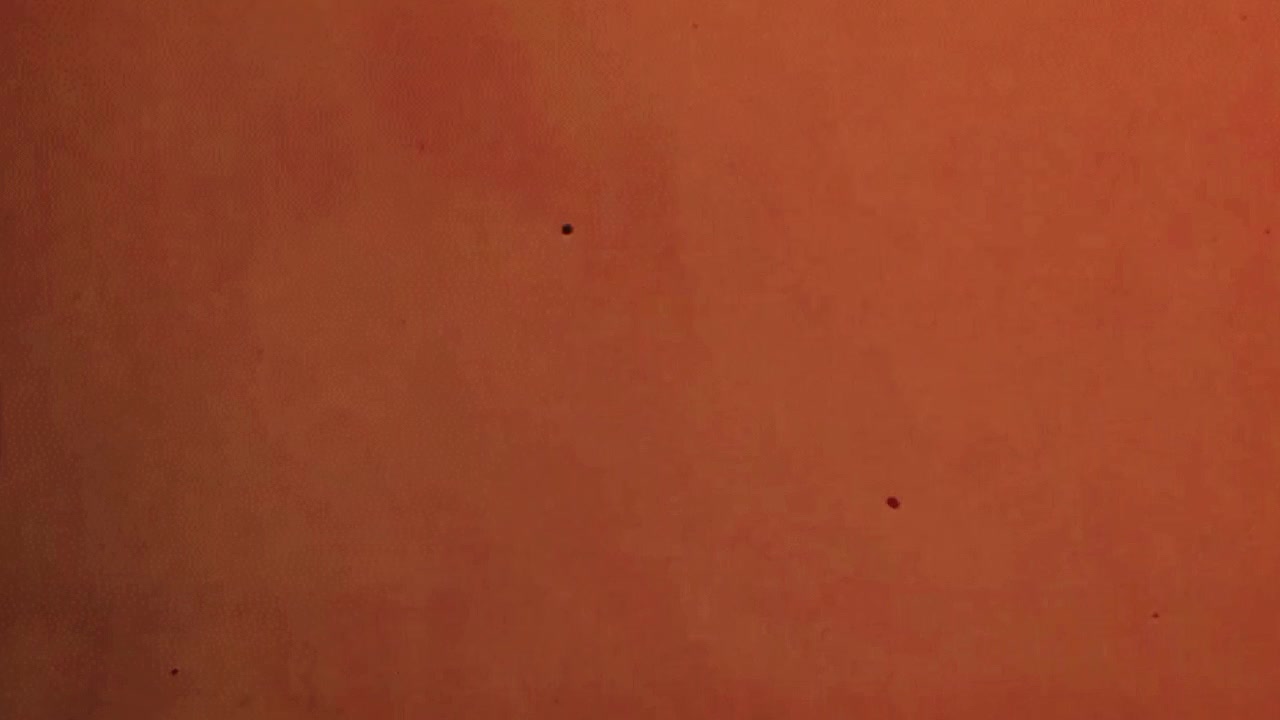 @đLKD_FaN_MoMiNđ