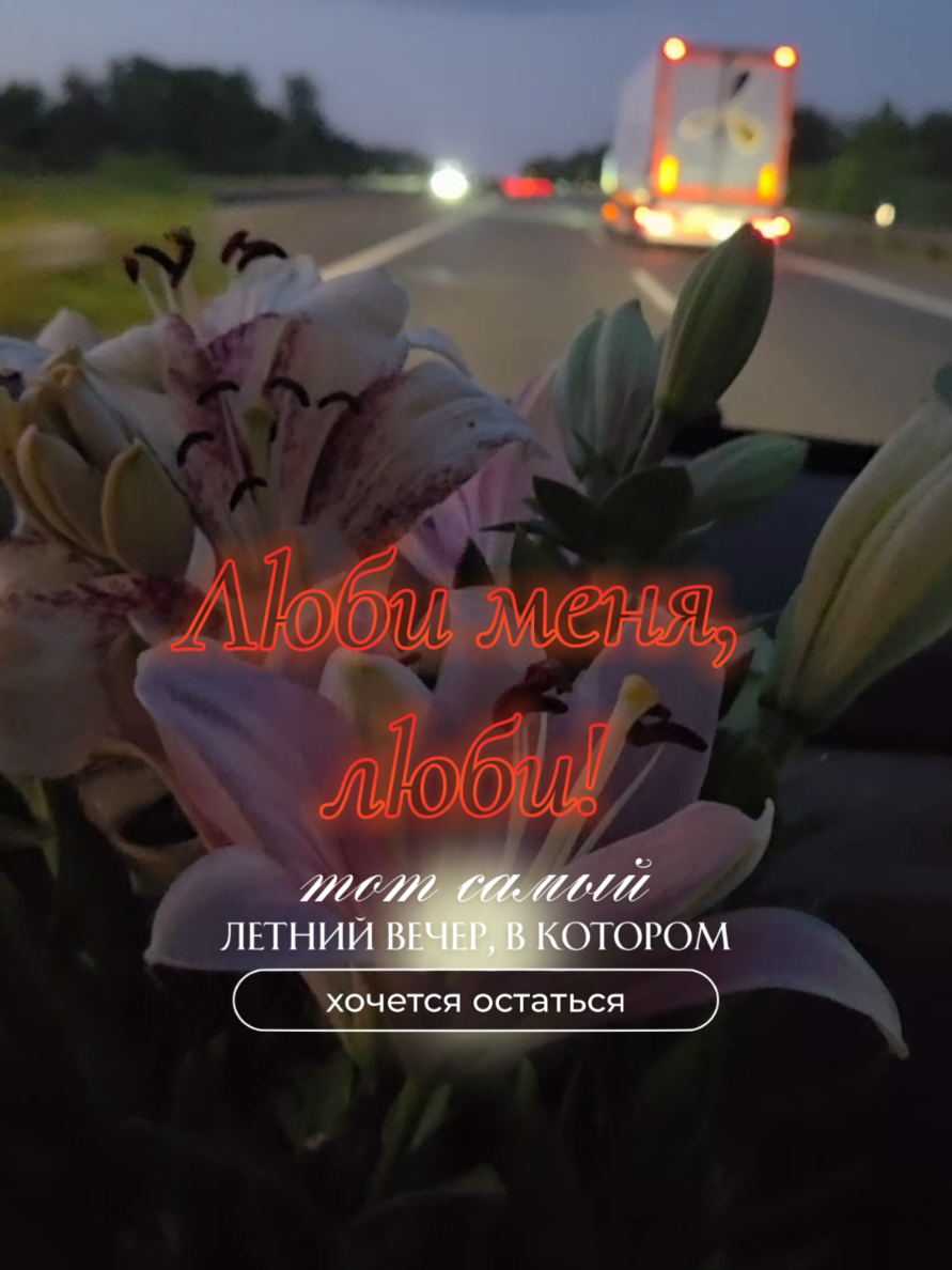@✨Елена✨