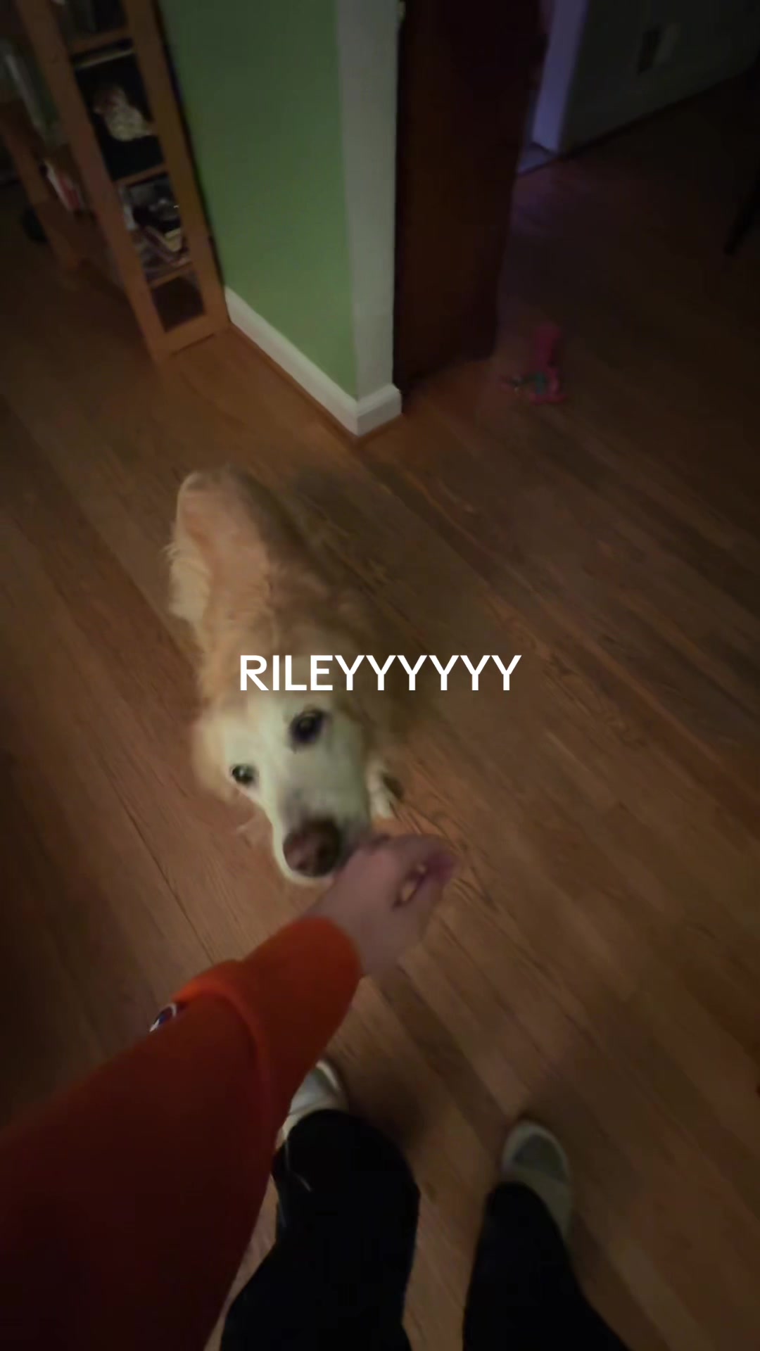 @Mikayla