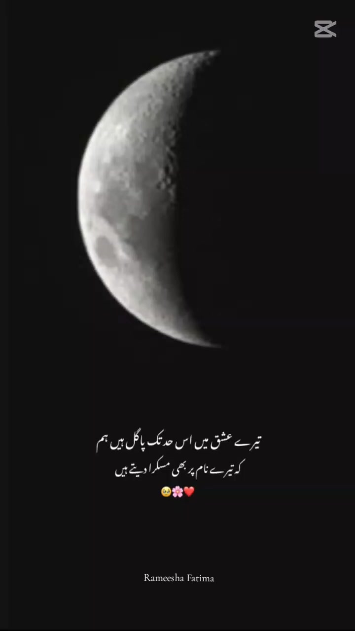 @Rameesha Fatima
