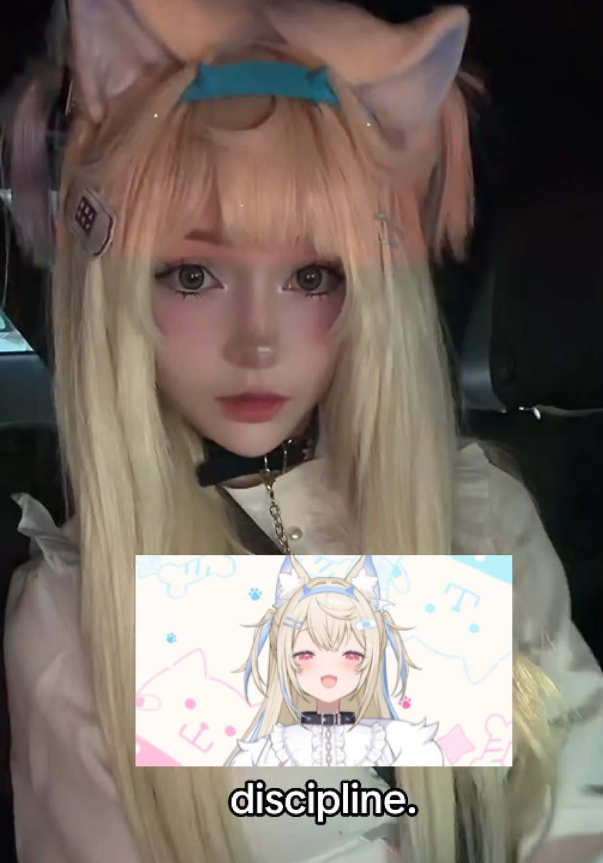 @smeeps 🐾