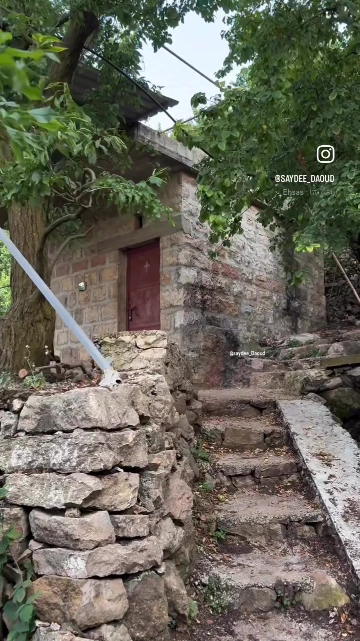 @Saydee | سيدة