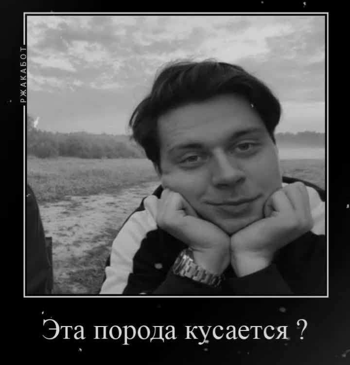 @путник🔆