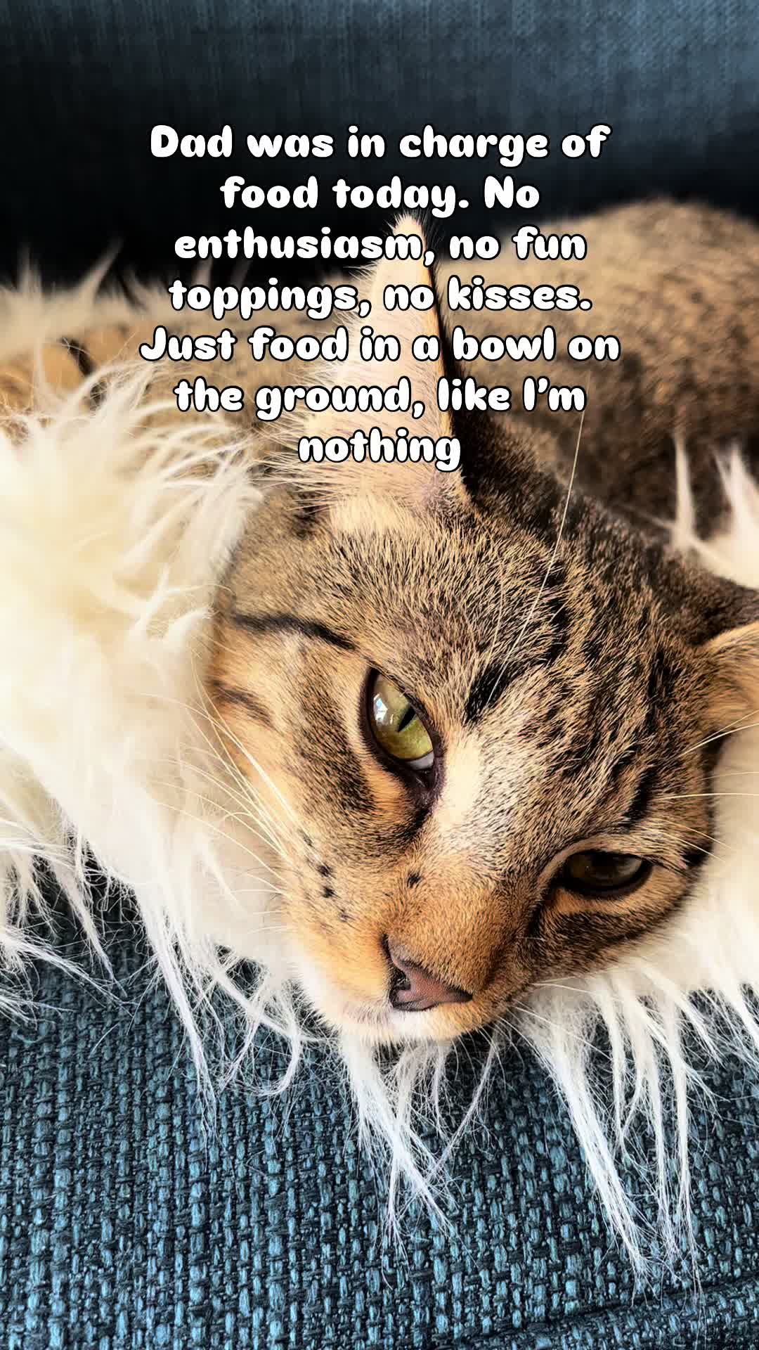 @BrothersINtroubles