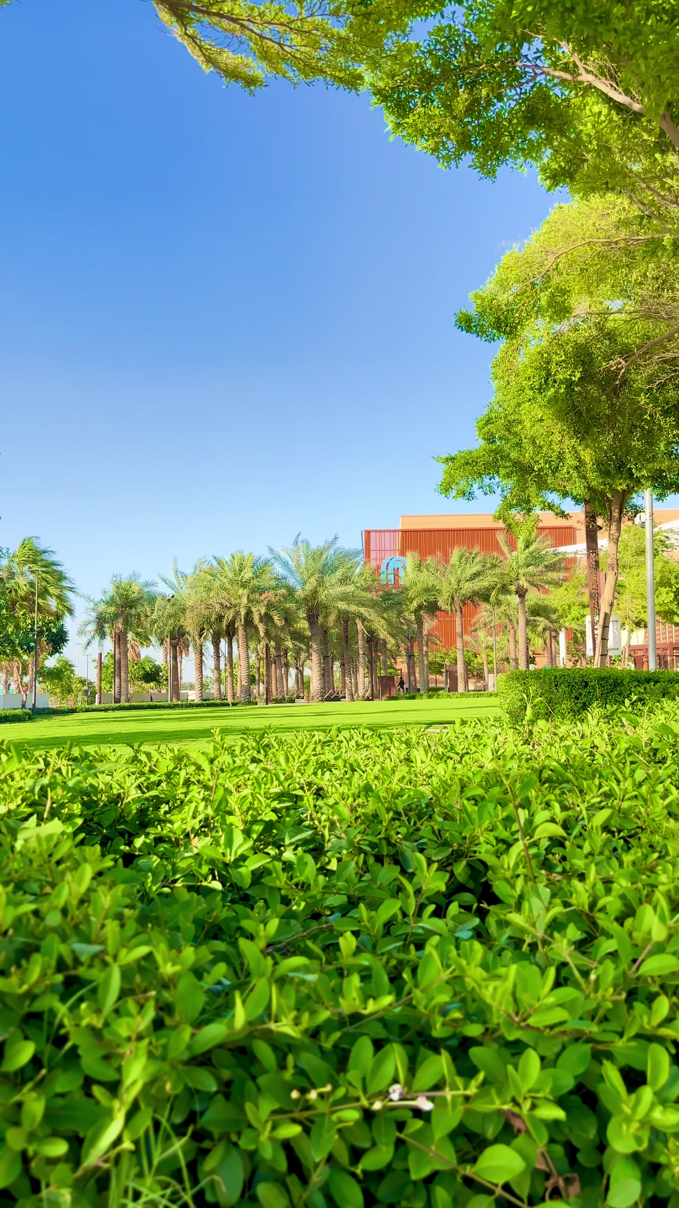 @thehammadgillani