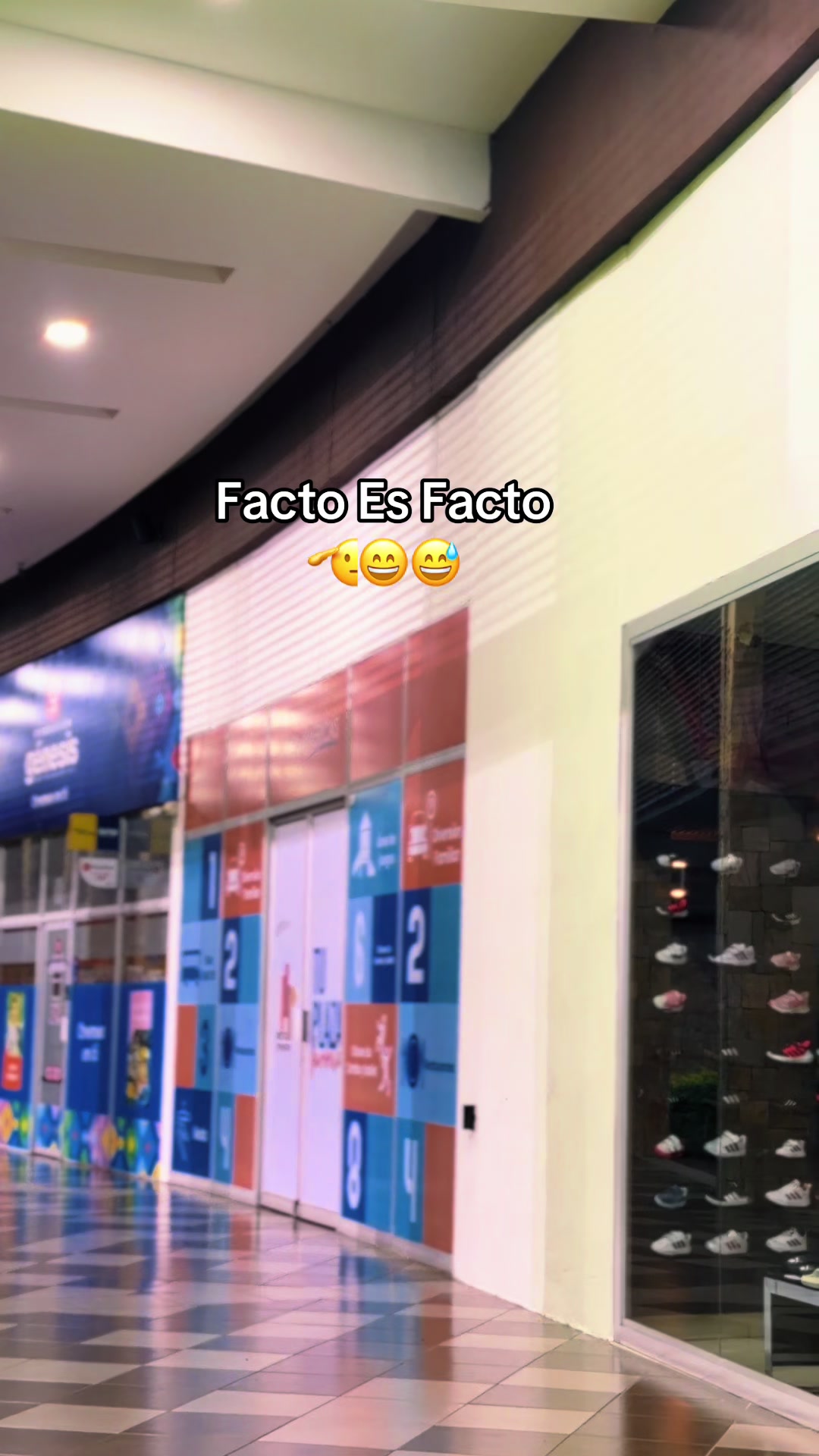 @Flow Farnoldo 😻💫