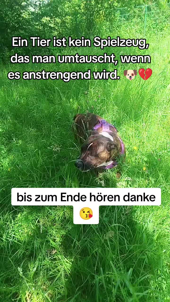 @just.rocky❤️