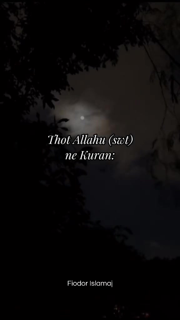 @Fiodor Islamaj