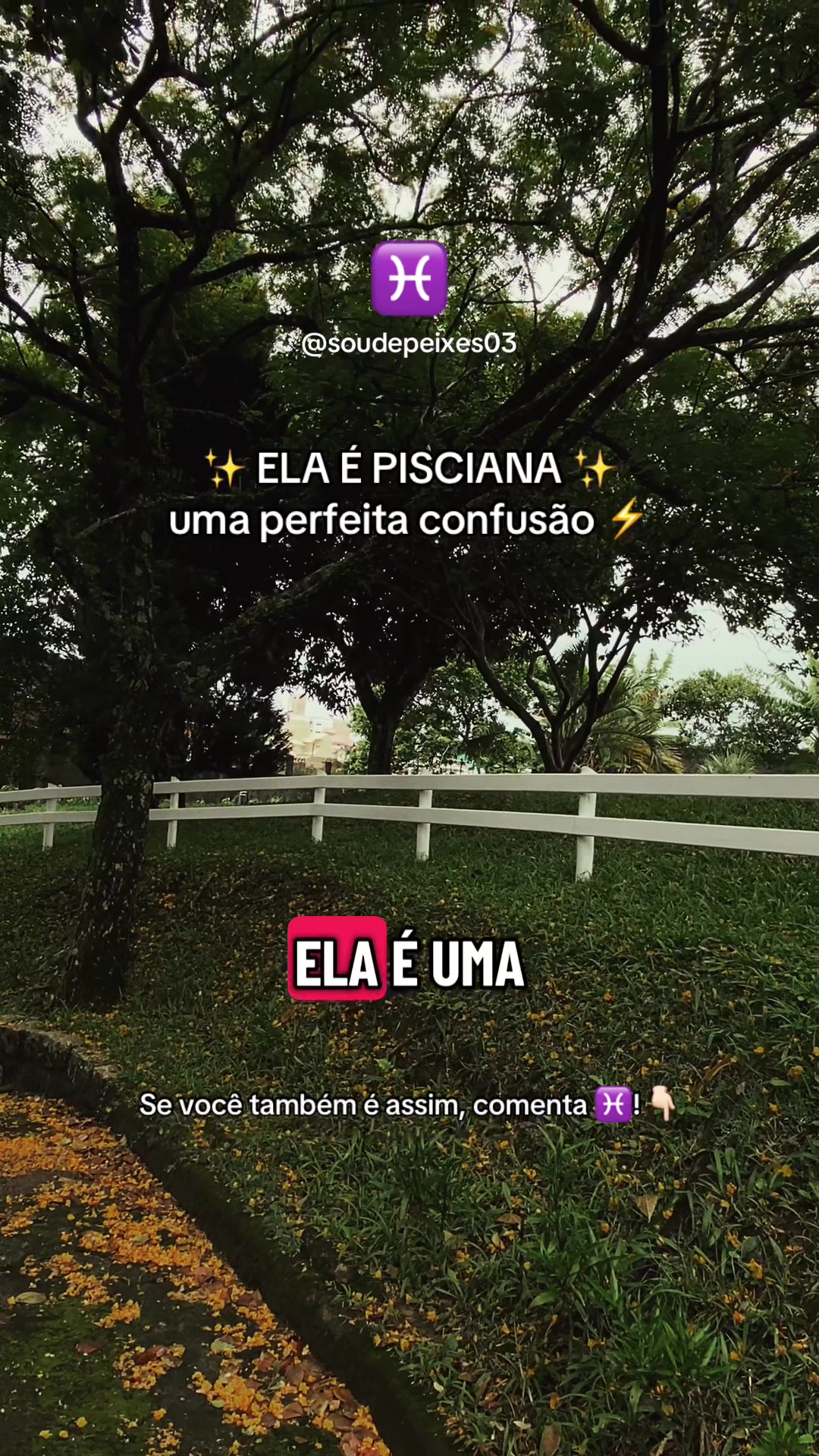 @soudepeixes