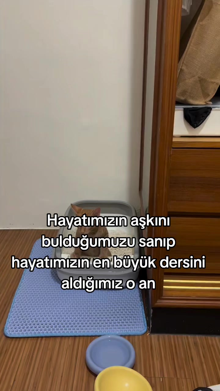 @rolland