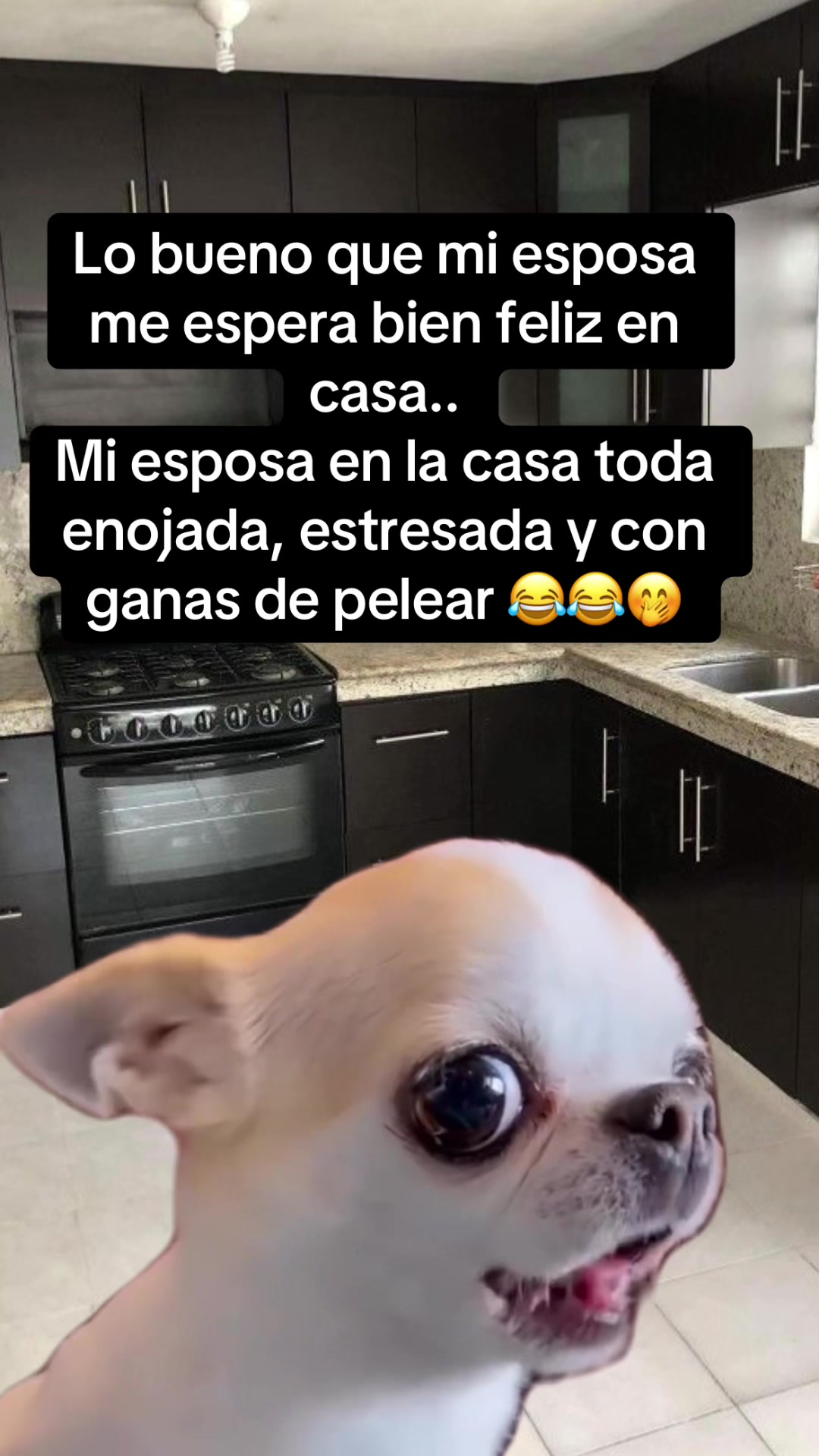 @José Francisco olmedo