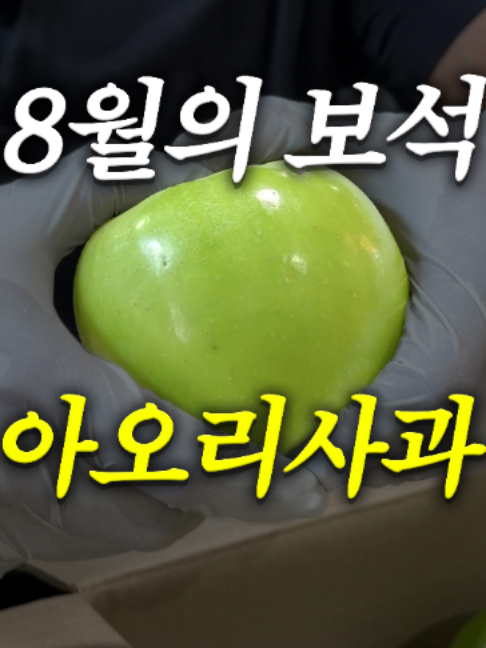 @해운대송사장