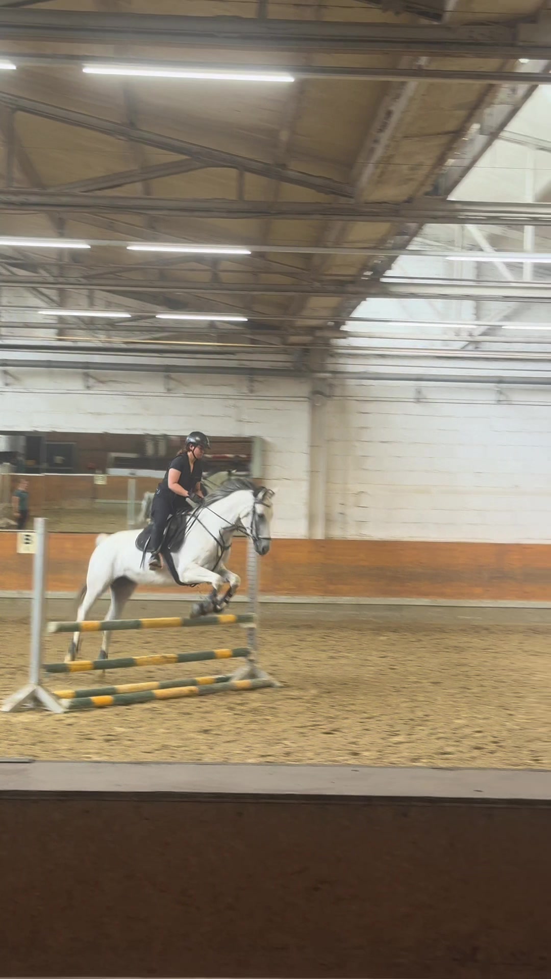 @Romy🐕🐎