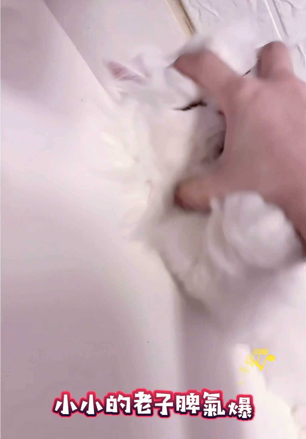 @小步舞曲の步