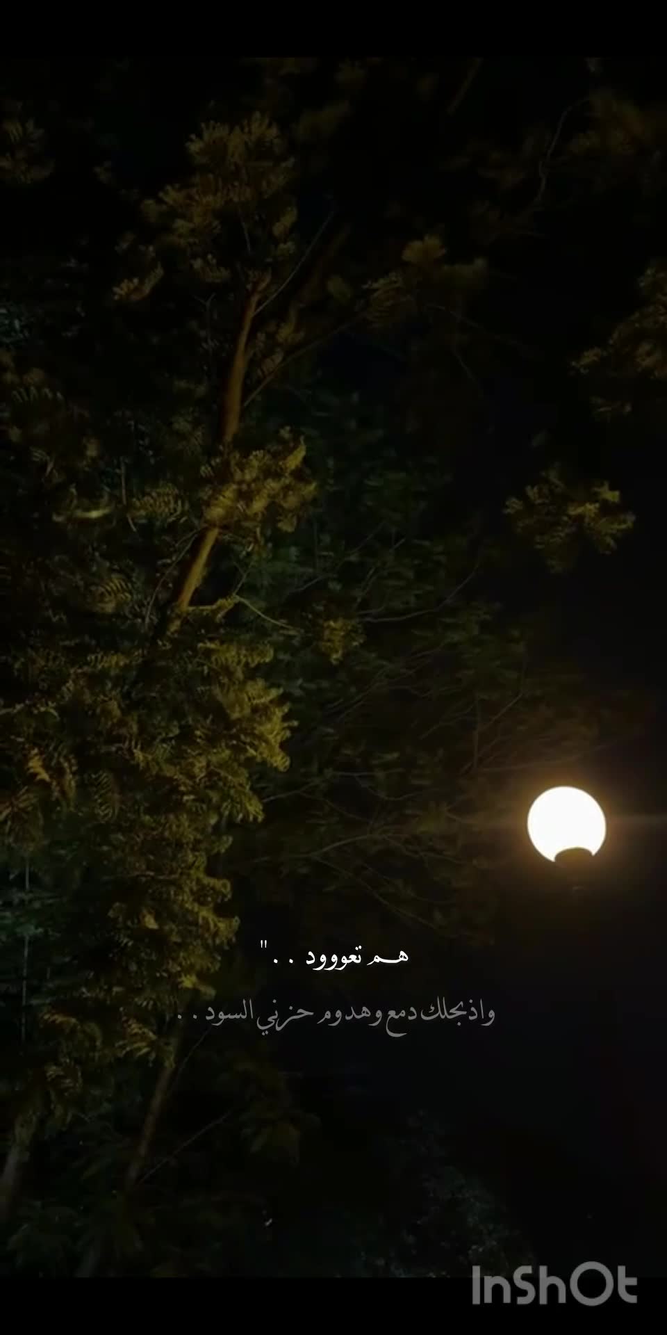 @سًسًـكَوُتُ ♛⇣