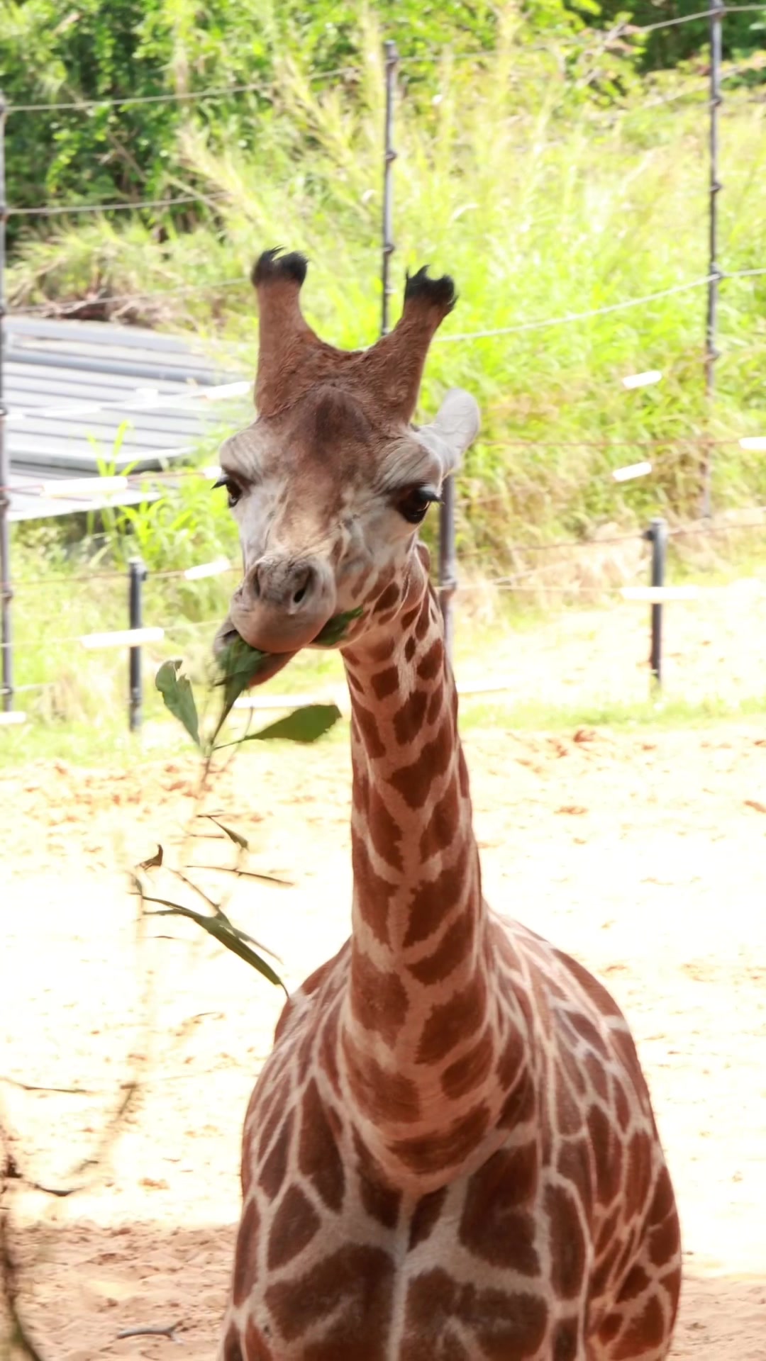 @Perth Zoo