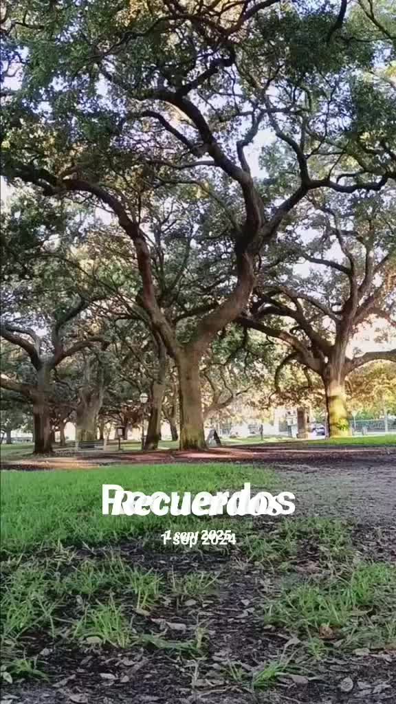 @May_56🇭🇳😍🇱🇷