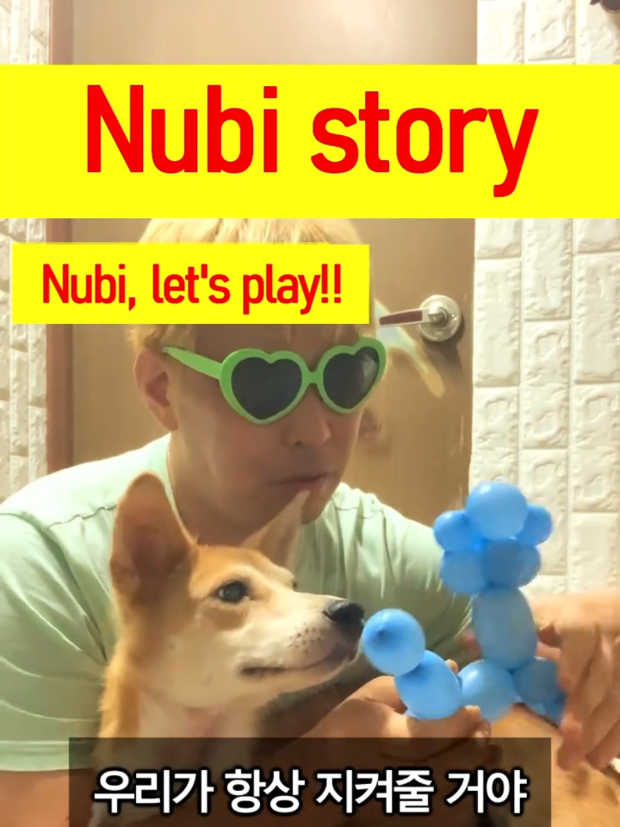 @누비★스토리 Nubi story