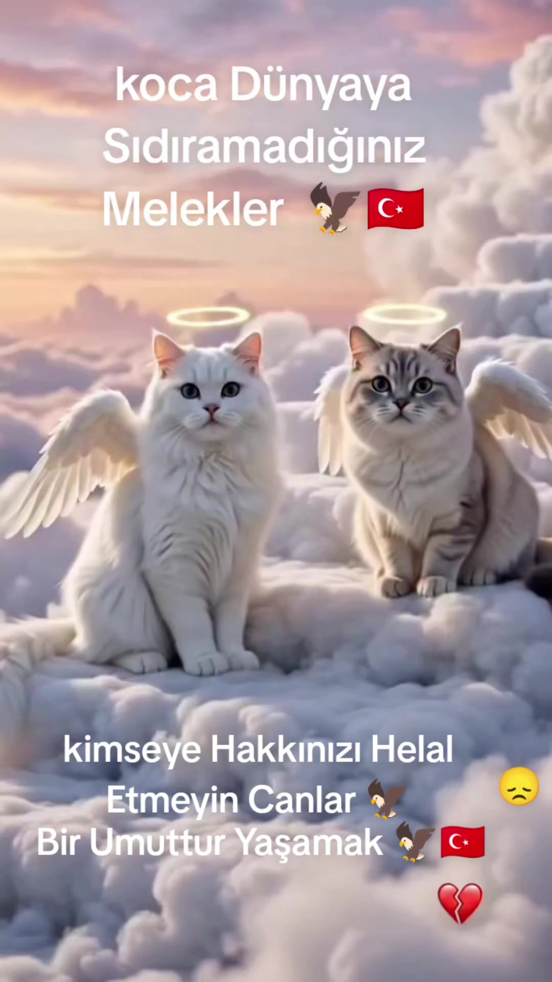 @🦅Bir umuttur yaşamak🦅