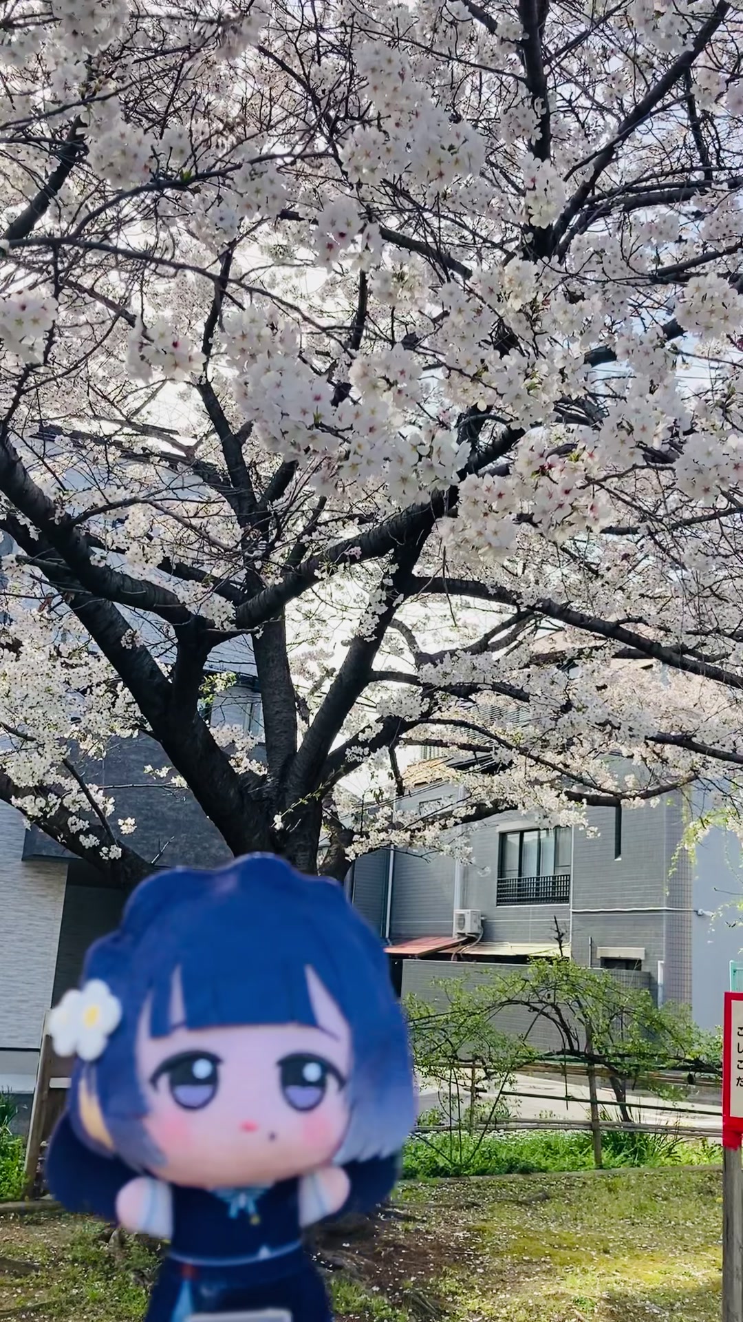 @リチャードきなこぱん