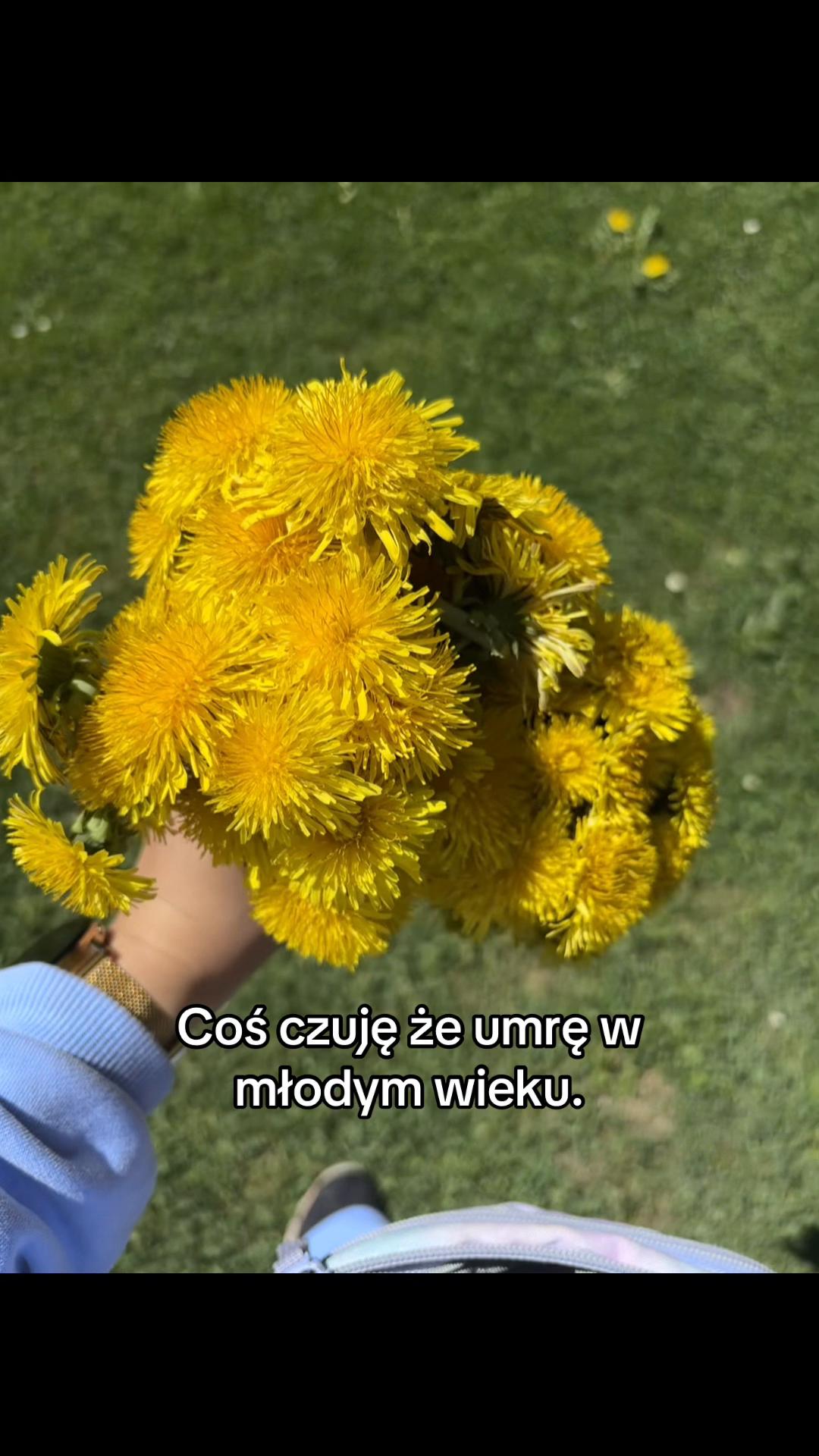 @cytaty