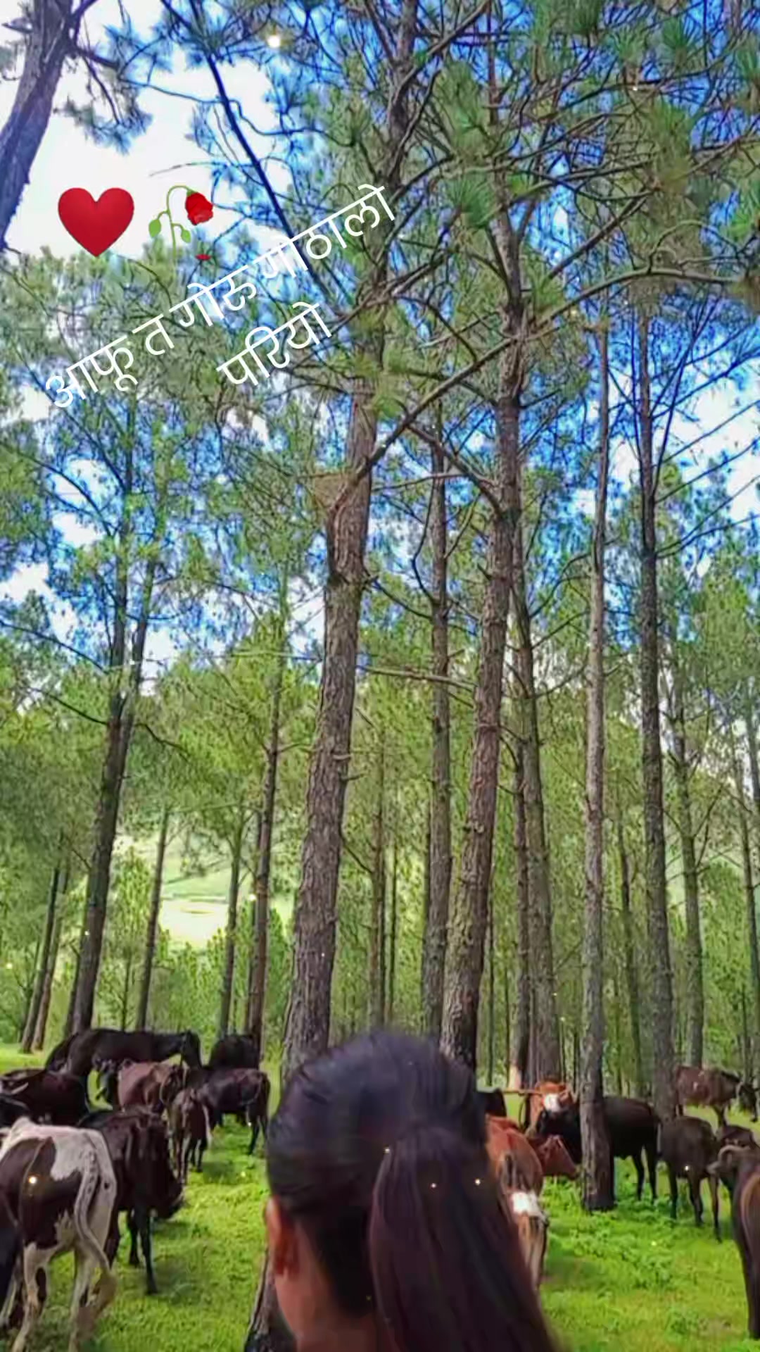 @Mina Karki