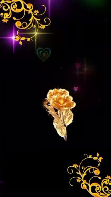 @JB๐น ROSE ๐น๐๐ต๐ญ