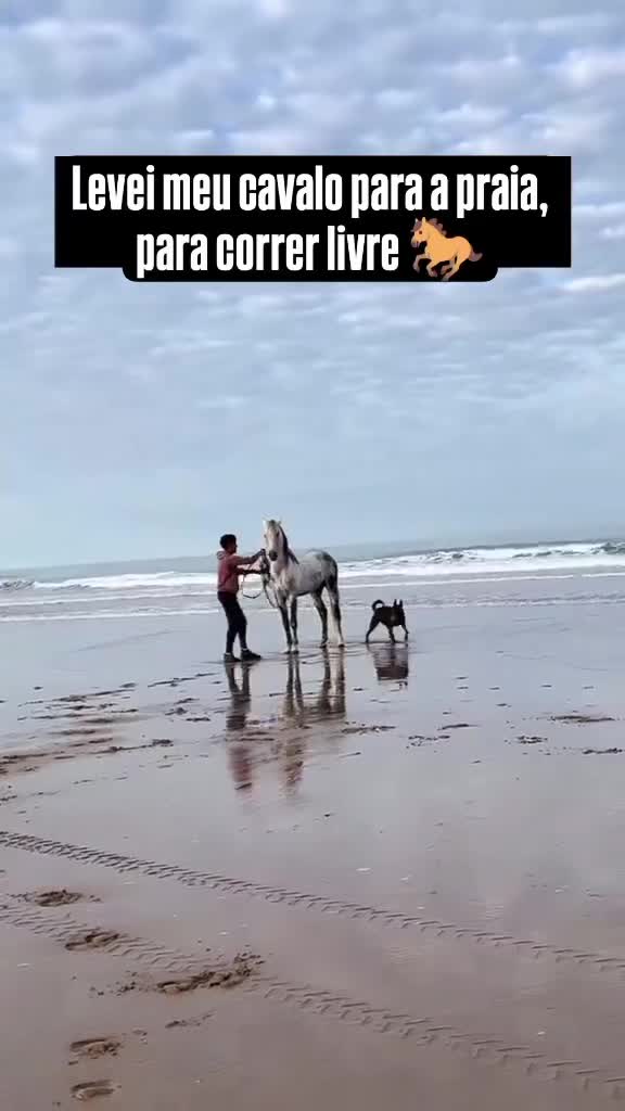 @manuvett