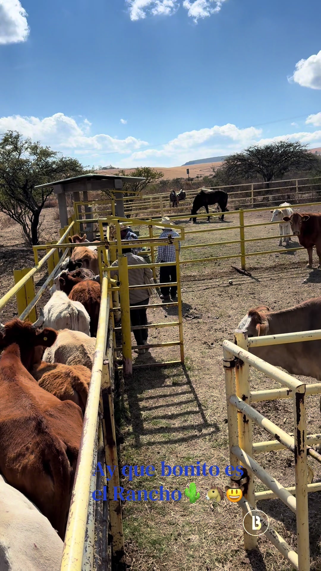 @El zurdo🌵🐴
