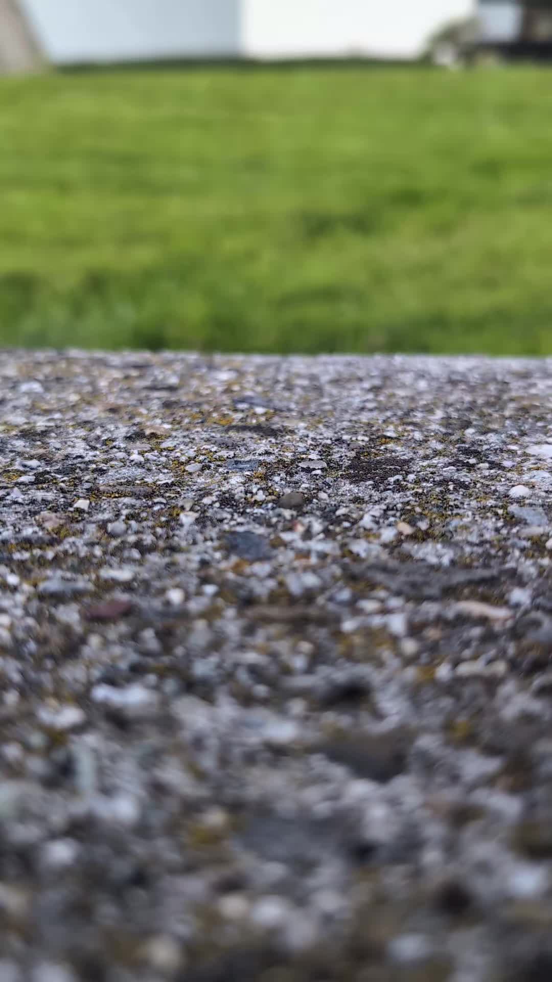 @🐦⬛𝓡𝓪𝓿𝓮𝓷 🐦⬛