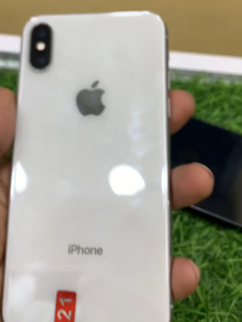 @THE WILD STORE 📱
