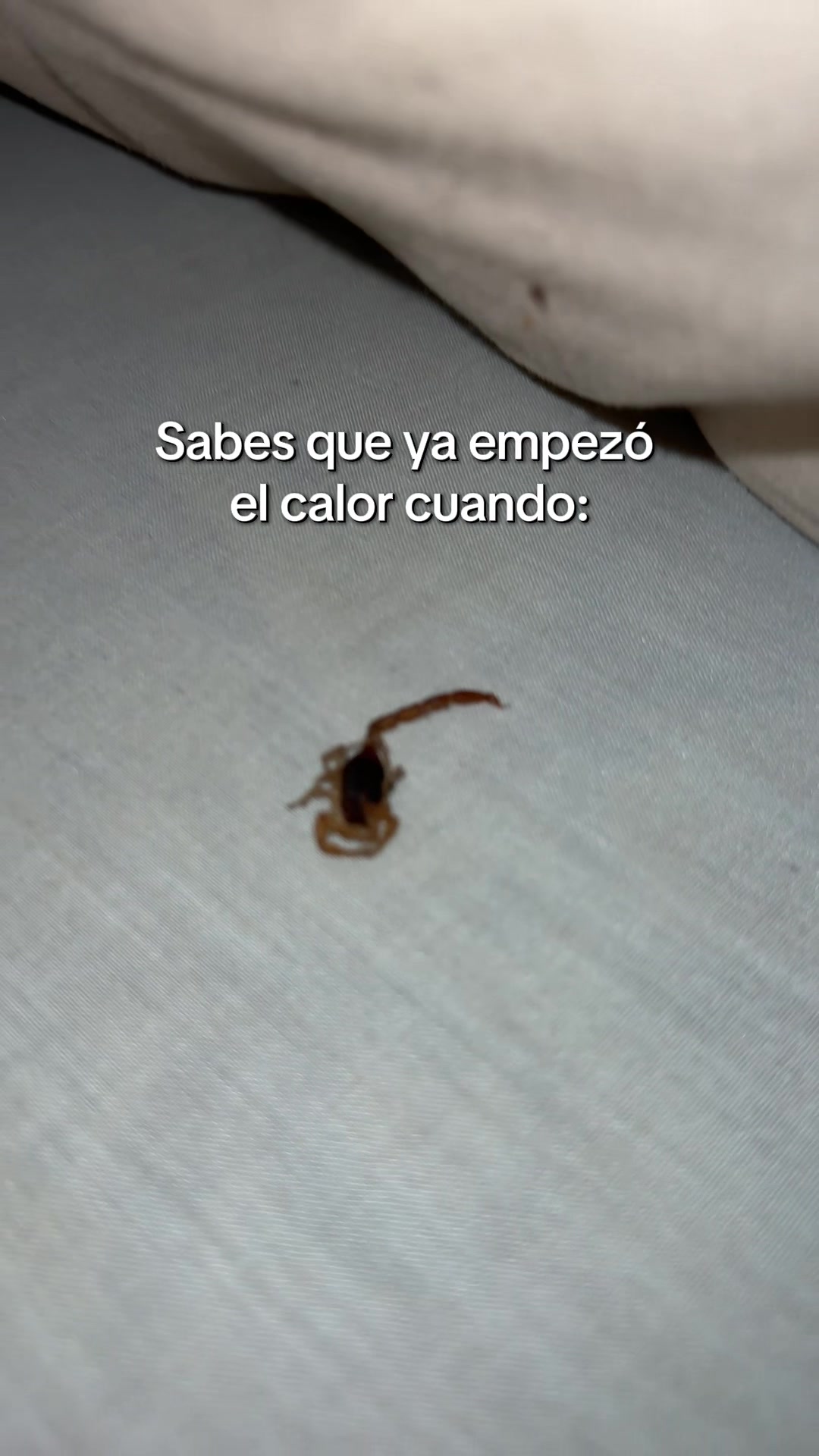 @Durango🦂Random