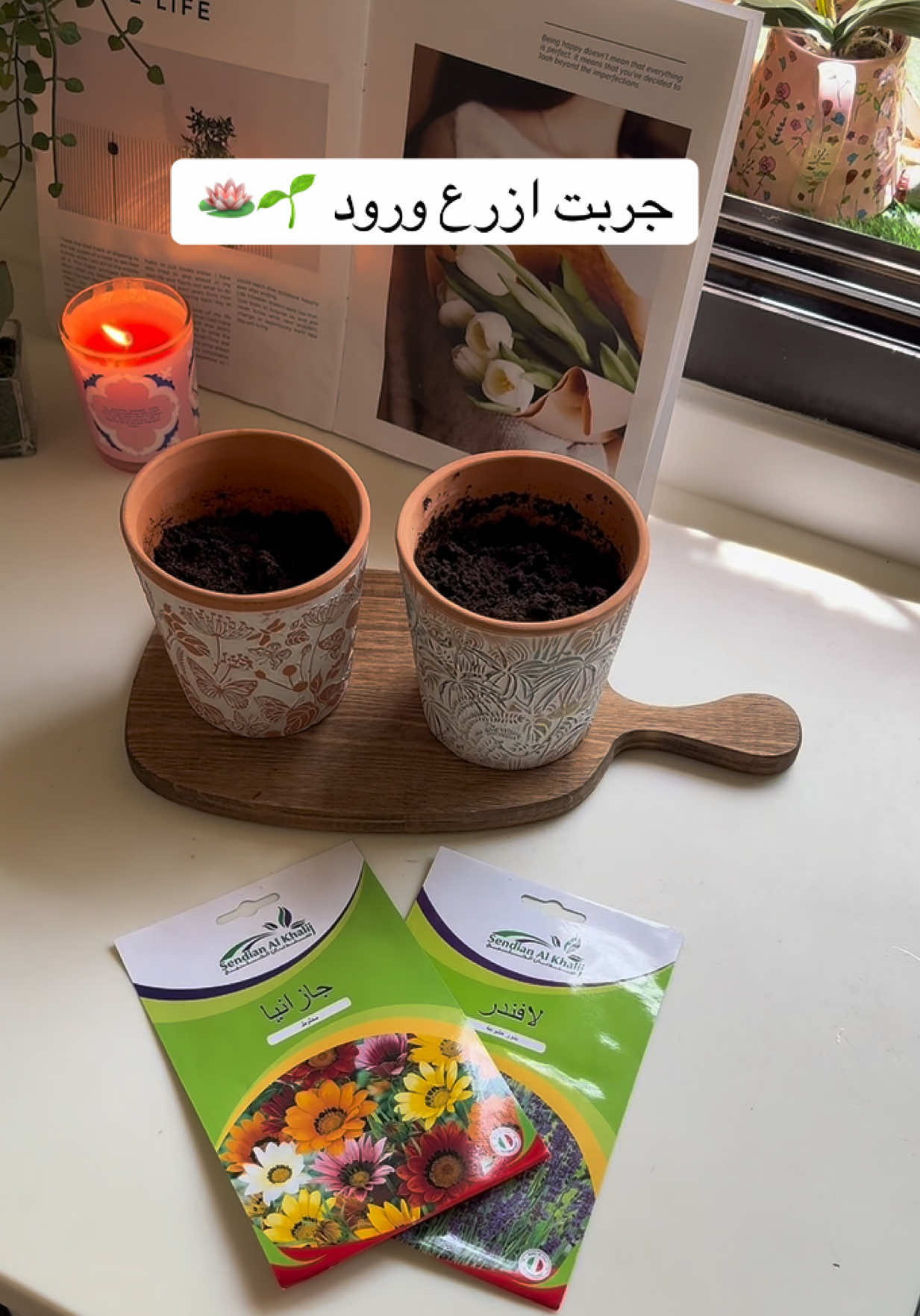@وَرد سعــود 🌻| تبـوك
