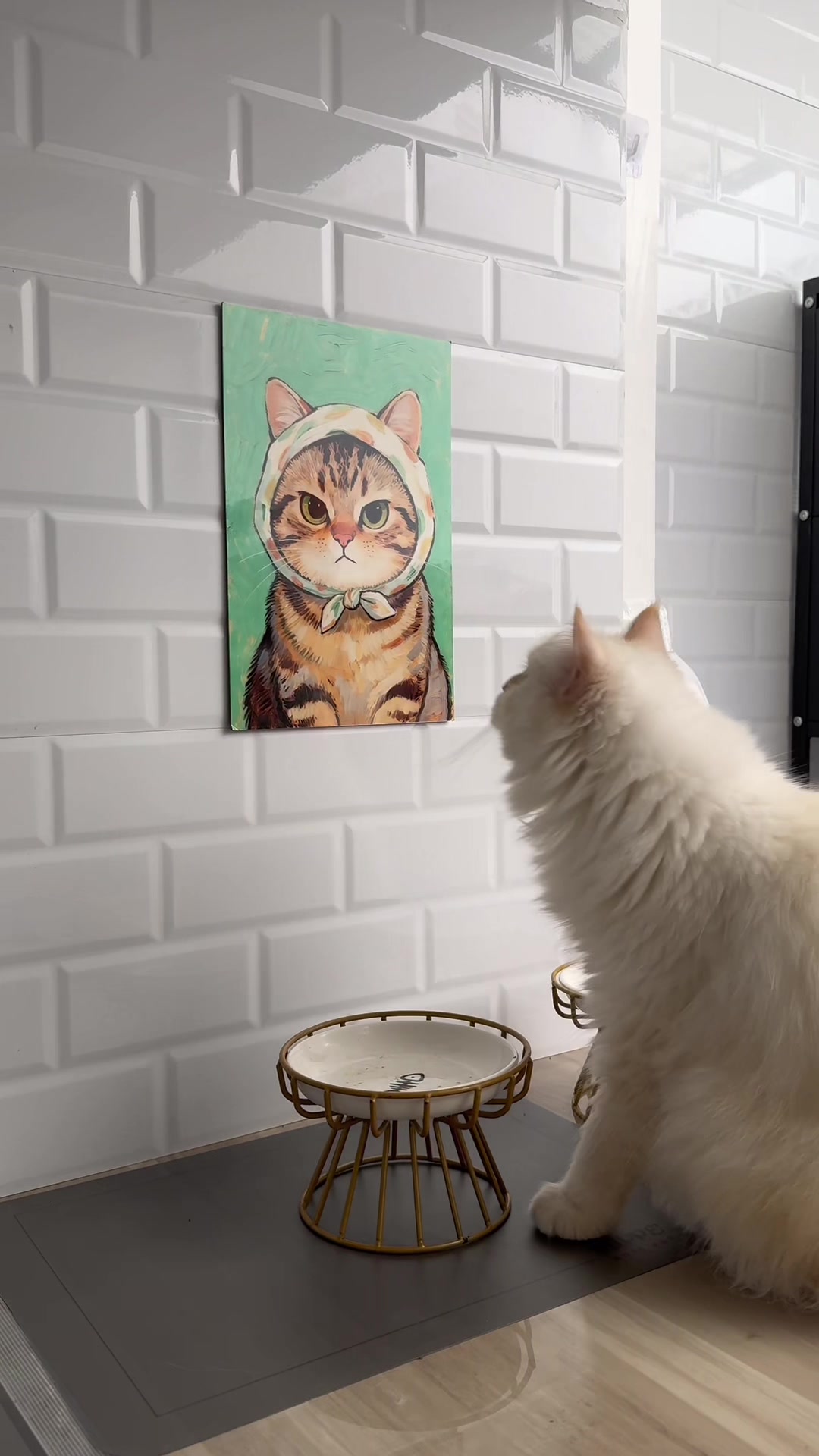 @catsnikath ⋆🐈&zwj;⬛ ྀི