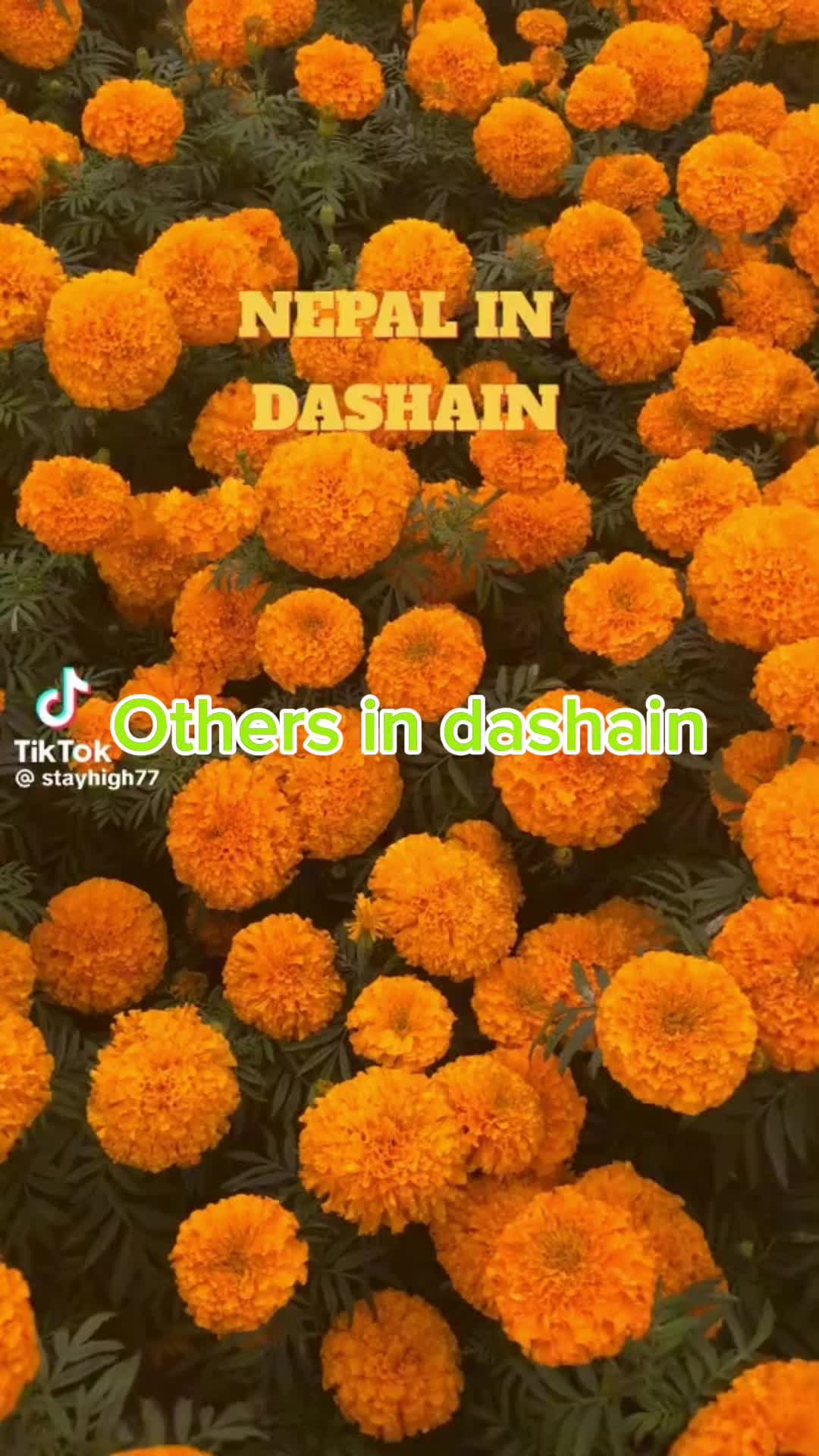 @Rohan Chaudhary
