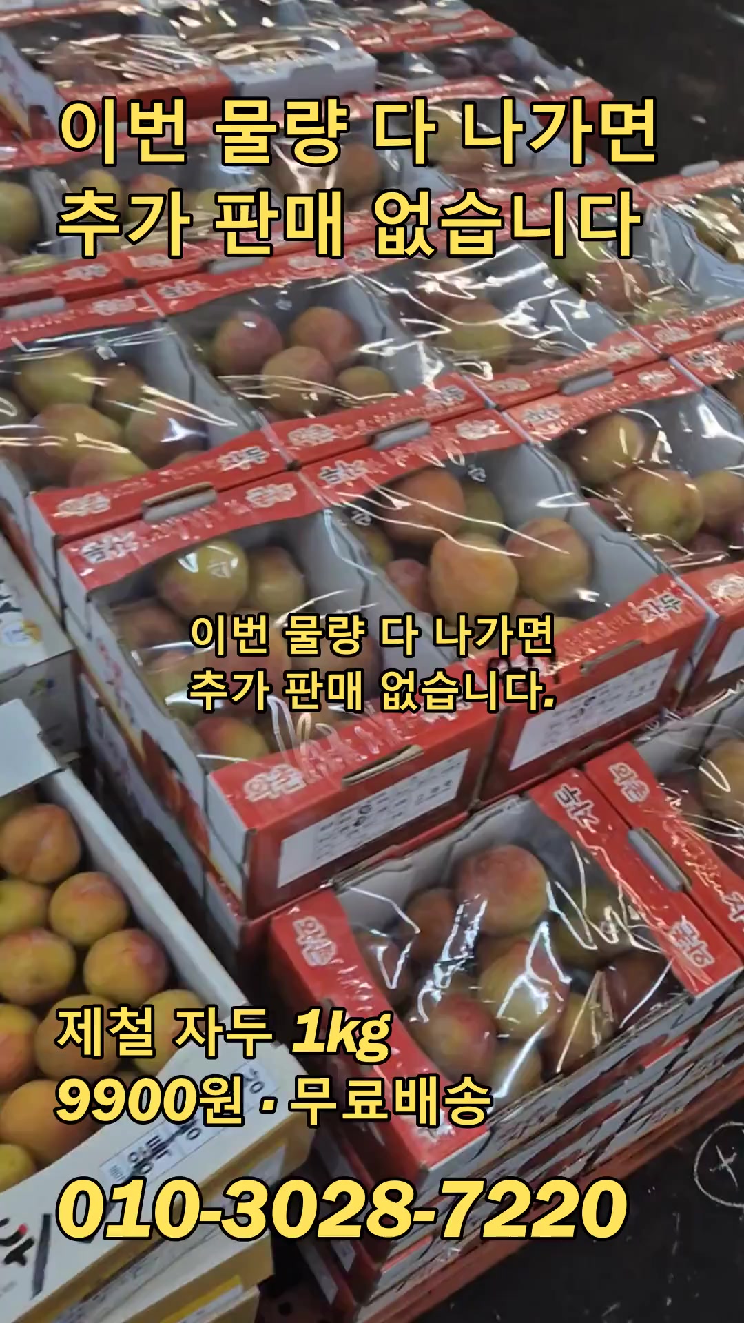@새콤과일장터