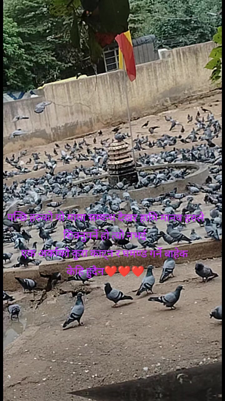 @Chandra Prakash D337