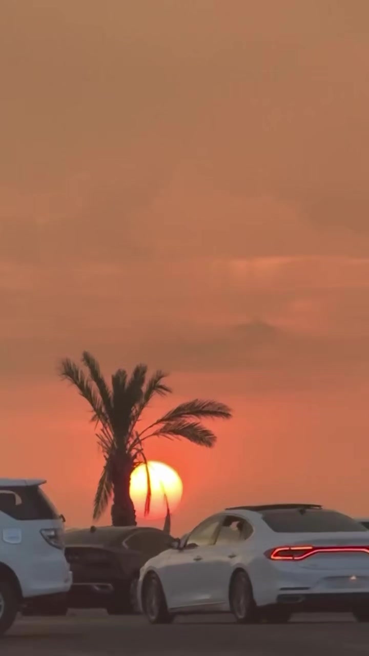 @Aʟᴏɴᴇ 𓆩🕊️𓆪 Wɪᴛʜ Aʟʟᴀʜ