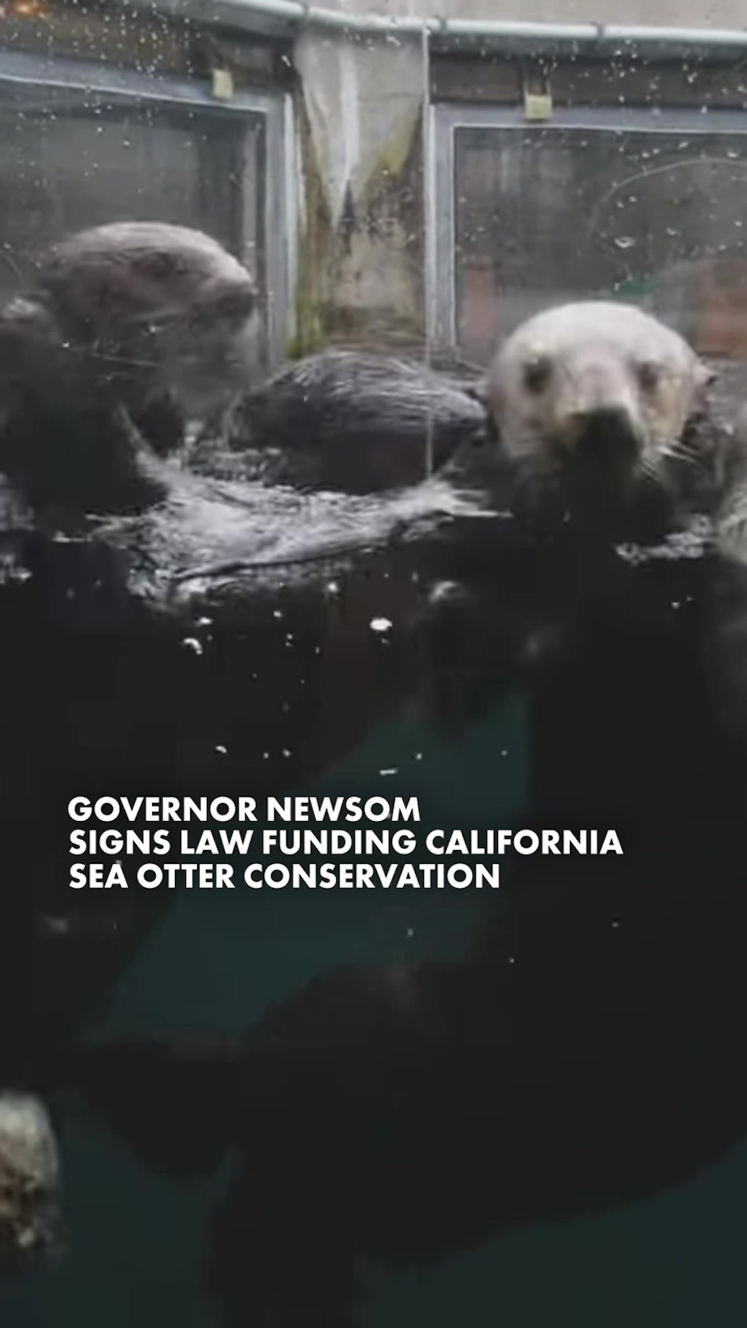 @Governor Gavin Newsom