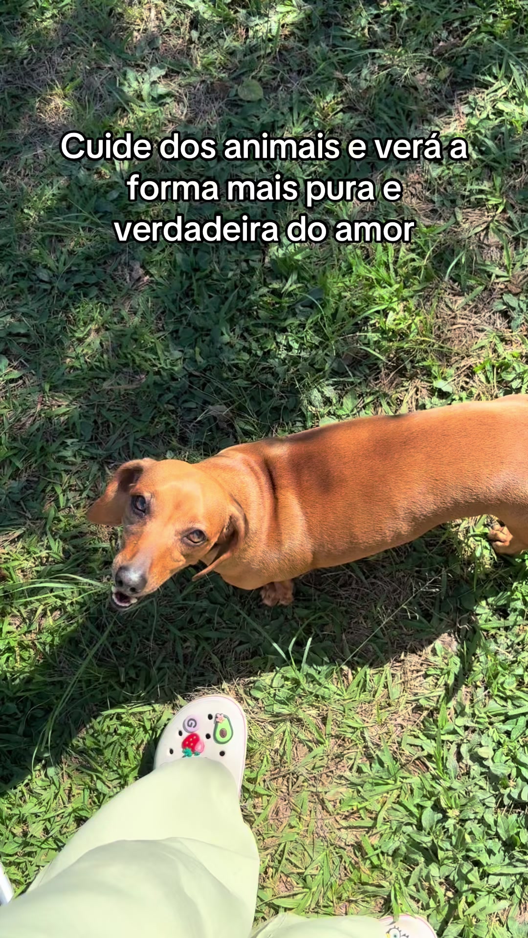 @dailygio