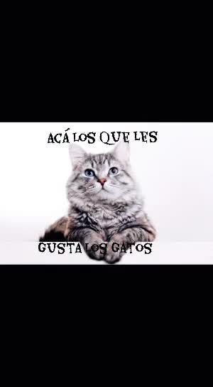 @Juega Junior