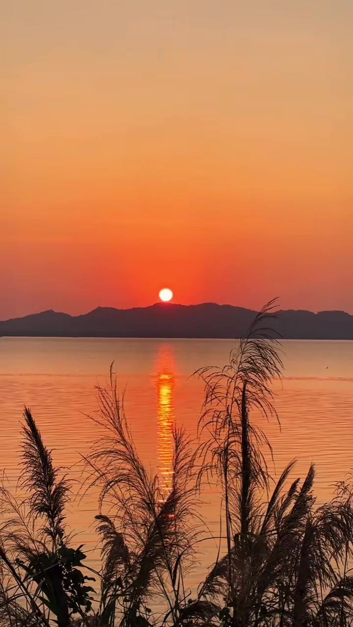 @Sapnaka888